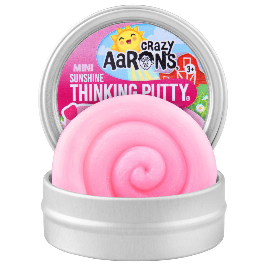 Piglet | MINI Tin W5